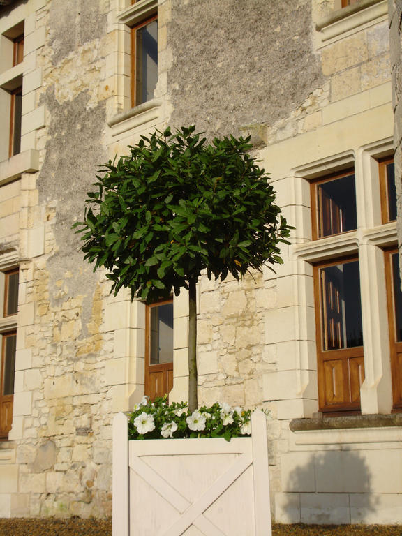 Manoir Du Bois Noblet Bed & Breakfast Louerre Dış mekan fotoğraf